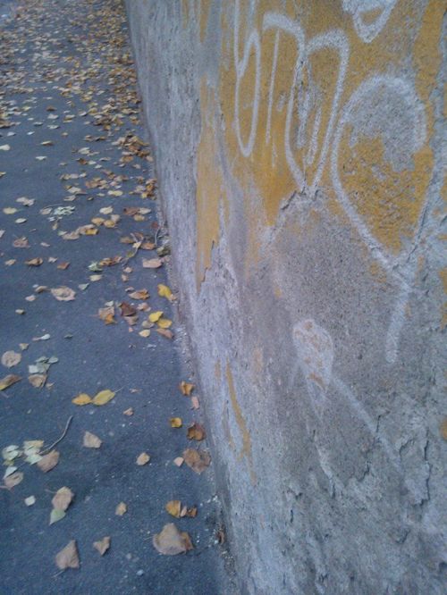 1380042_614914121894352_1352629551_n