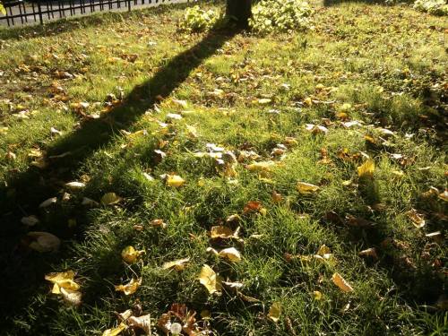 1382101_615651711820593_2087990888_n