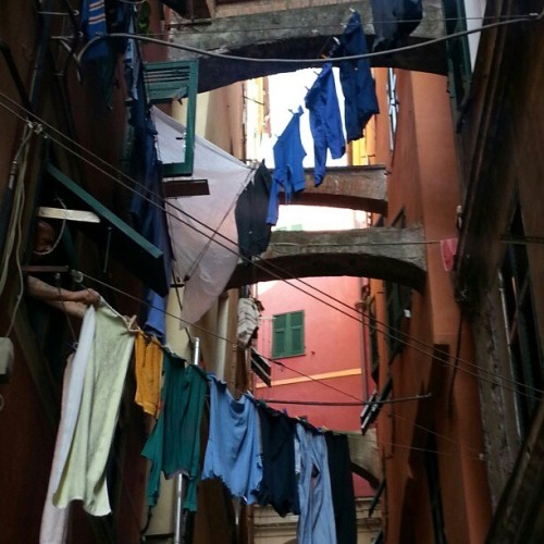 10352843_795527073833055_5551964274685612784_n