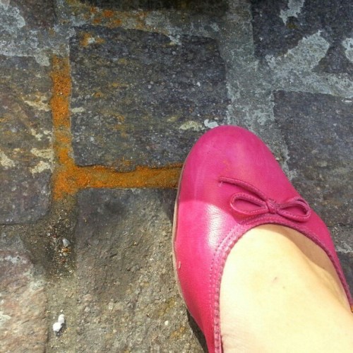 10649441_795514480500981_19814570906104082_n - Copia