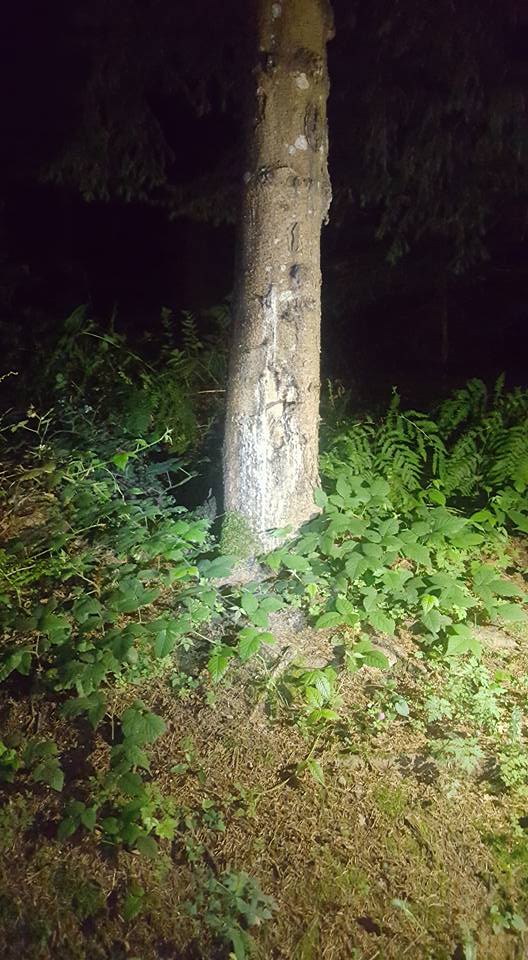 13654170_1150174181701674_2589201578953518517_n