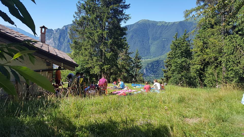 13669809_1150643034988122_8369073566733547776_n