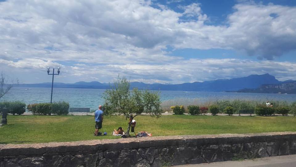 13680736_1149869705065455_4082025899661969595_n (1)