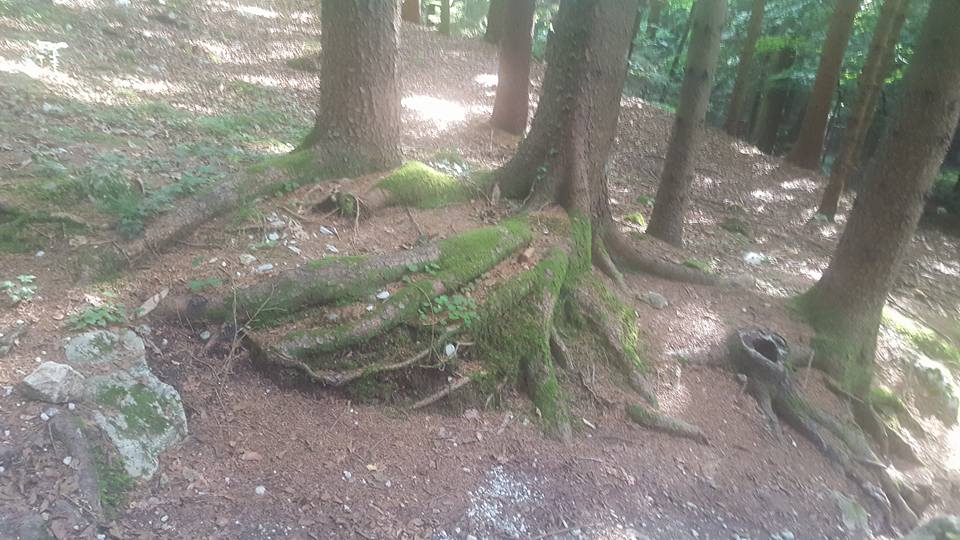 13681061_1150118071707285_2069985050261662517_n