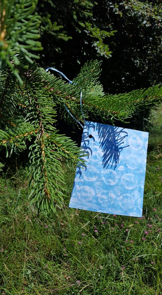 13690744_1150643631654729_973876094000792073_n