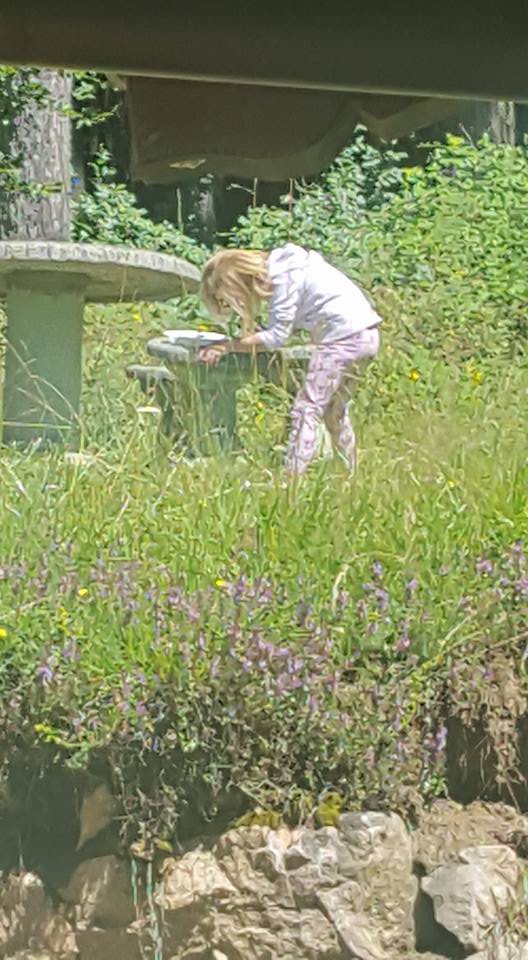 13700047_1150645068321252_4314369381907102946_n