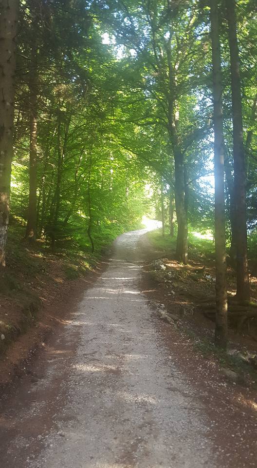 13700126_1150117978373961_9106741491617389595_n