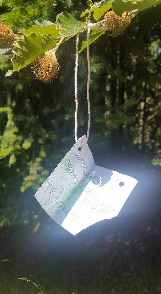 13707765_1150645174987908_2064375978870082212_n