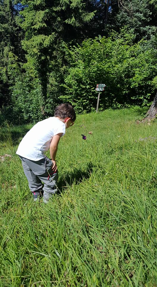 13709910_1150644141654678_2979827720998738364_n