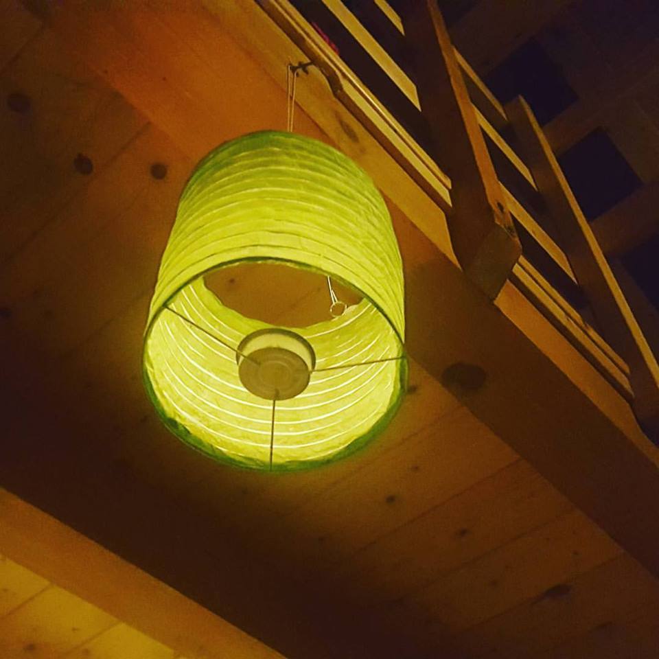 13726778_1150197561699336_8977819679701802916_n