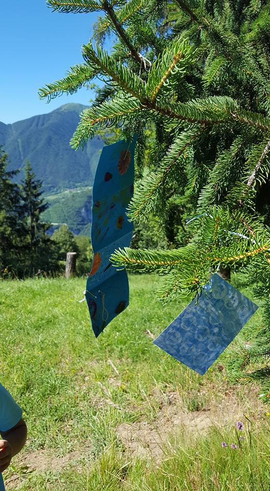 13770447_1150643908321368_9035495837273165169_n