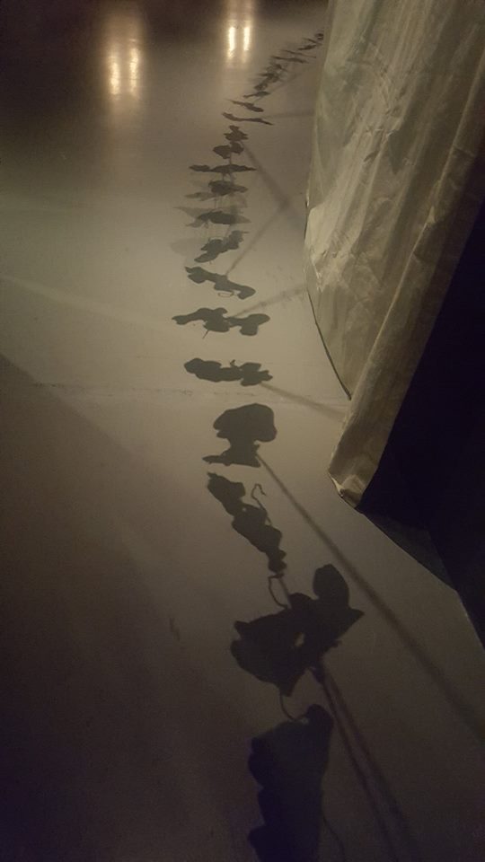 15209232_1269366633115761_1532861680_n