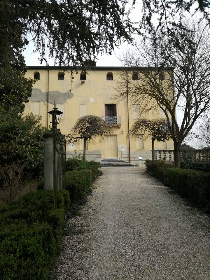 17352259_1276250335797217_5325624521283891156_n