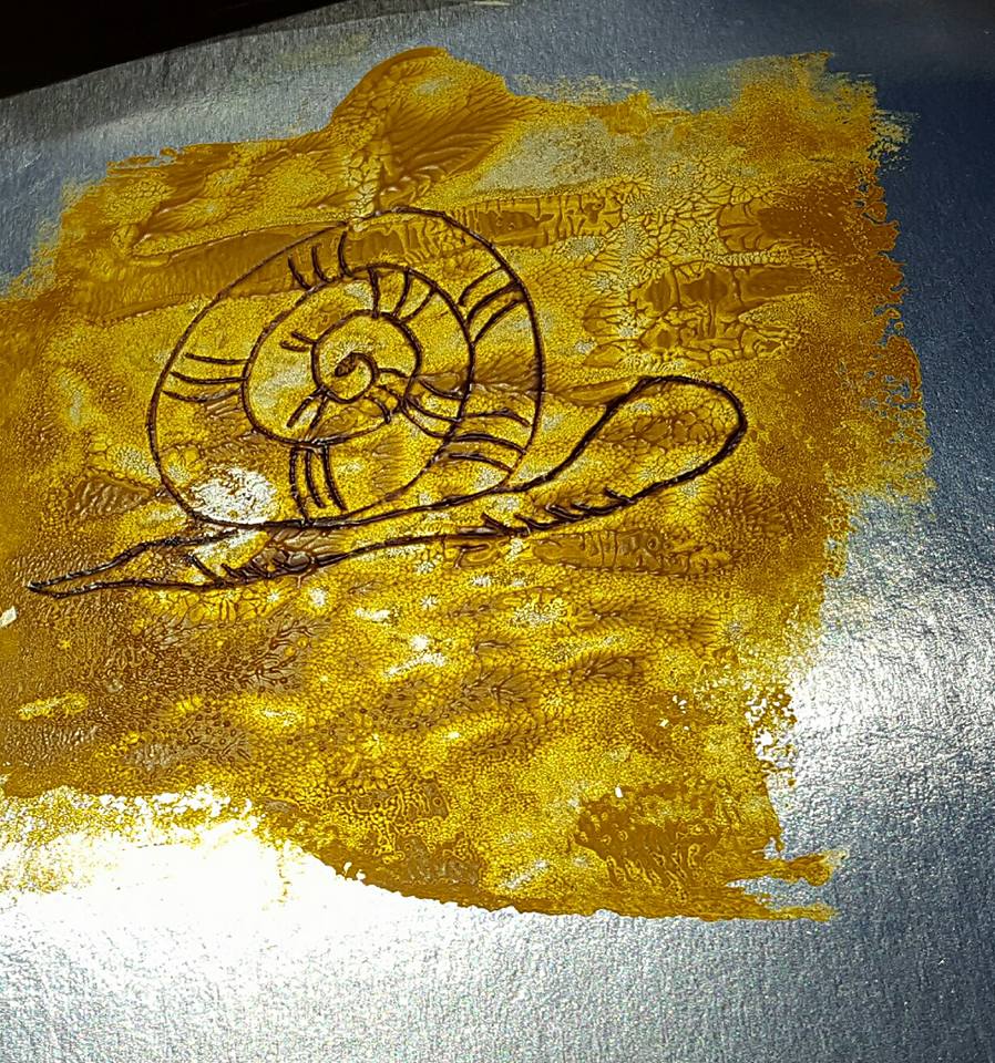 18193836_1435631643155925_235406862217266268_n