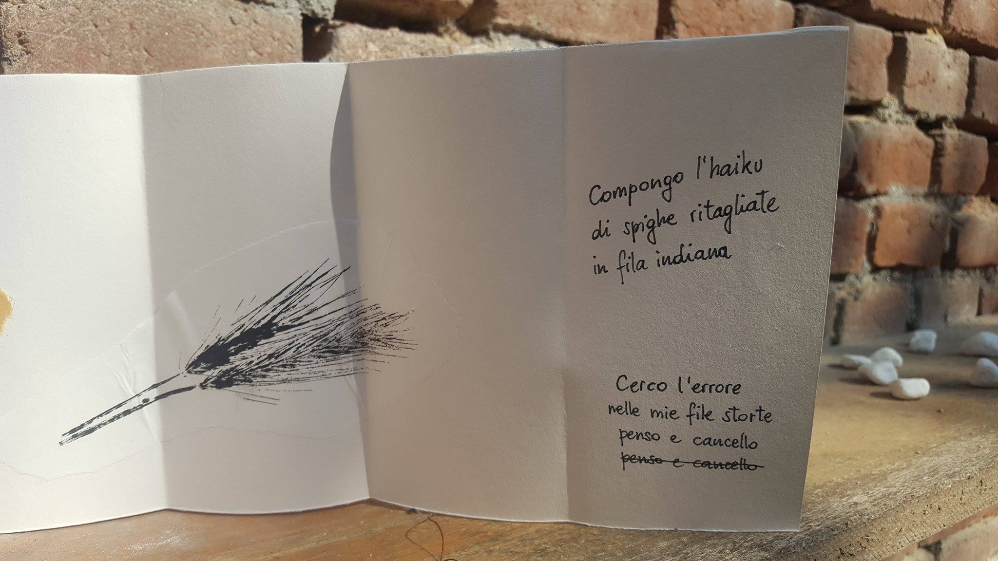 19238334_1487811377937951_903956851_o