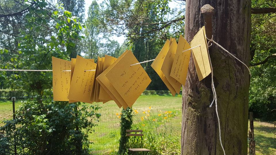 19396714_1487846231267799_19631396236437042_n