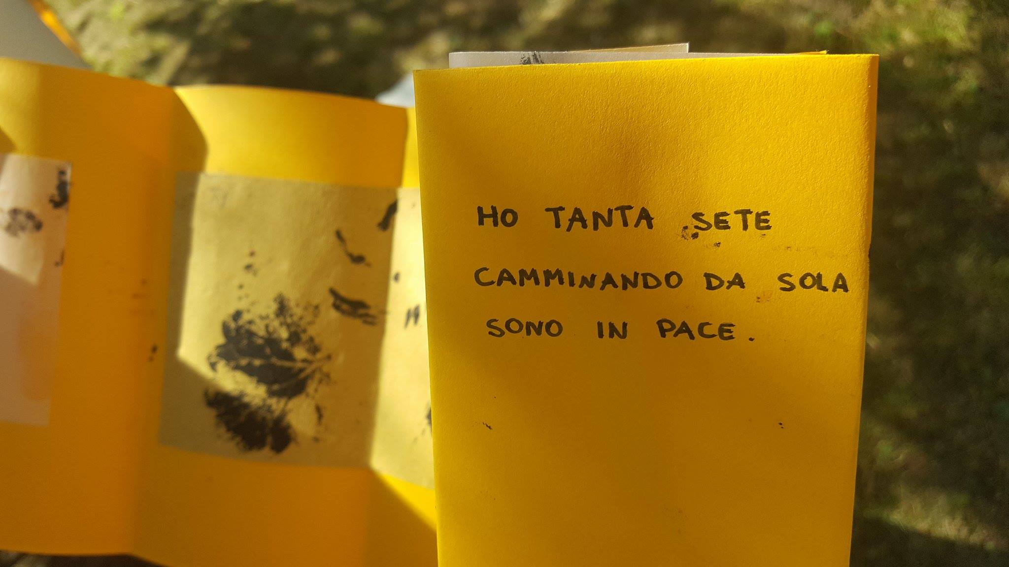 19402556_1487818811270541_1026791480_o