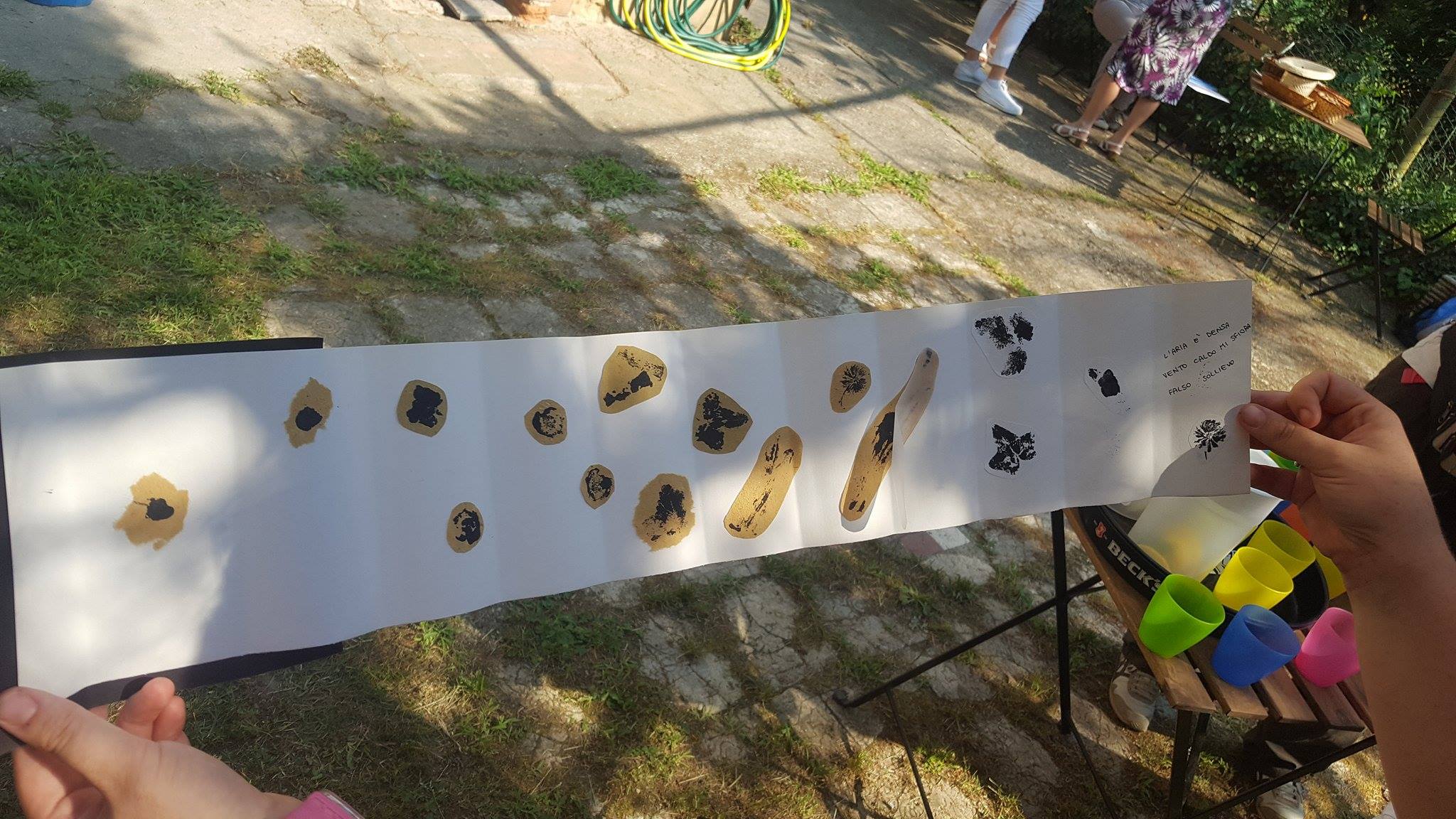 19402698_1487812351271187_309954232_o