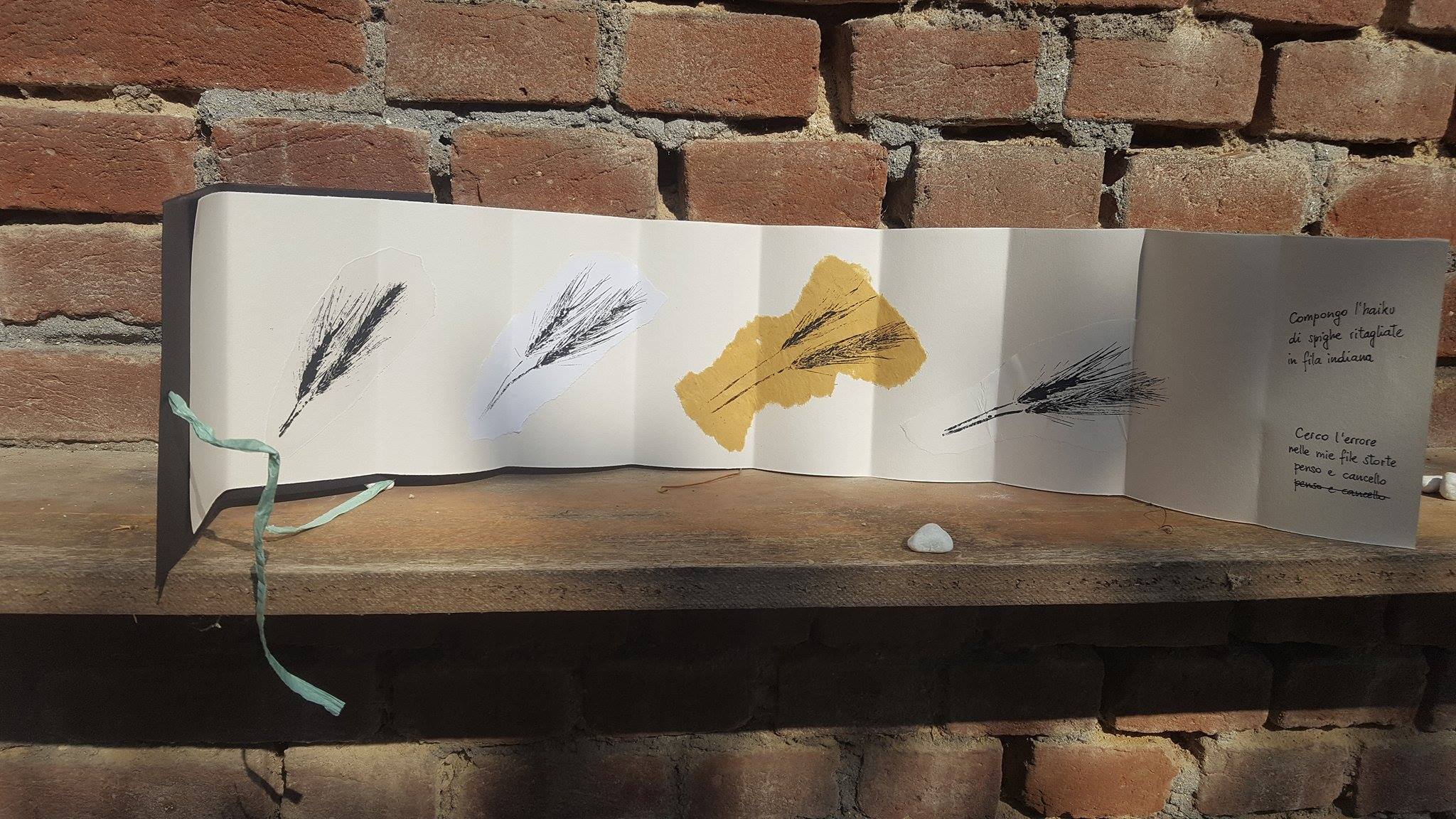 19403320_1487811491271273_2013243045_o