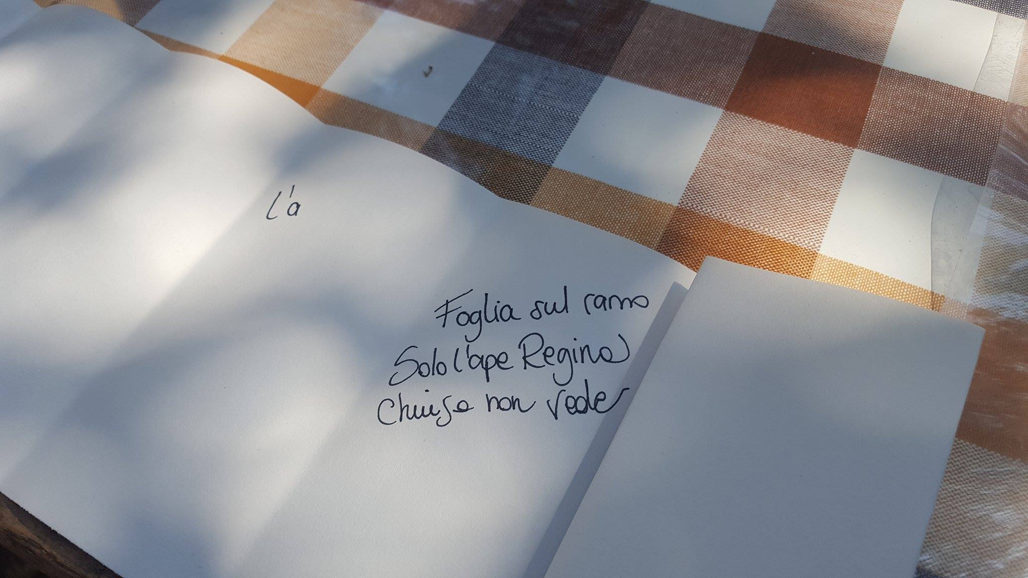 19403331_1487820117937077_183668349_o