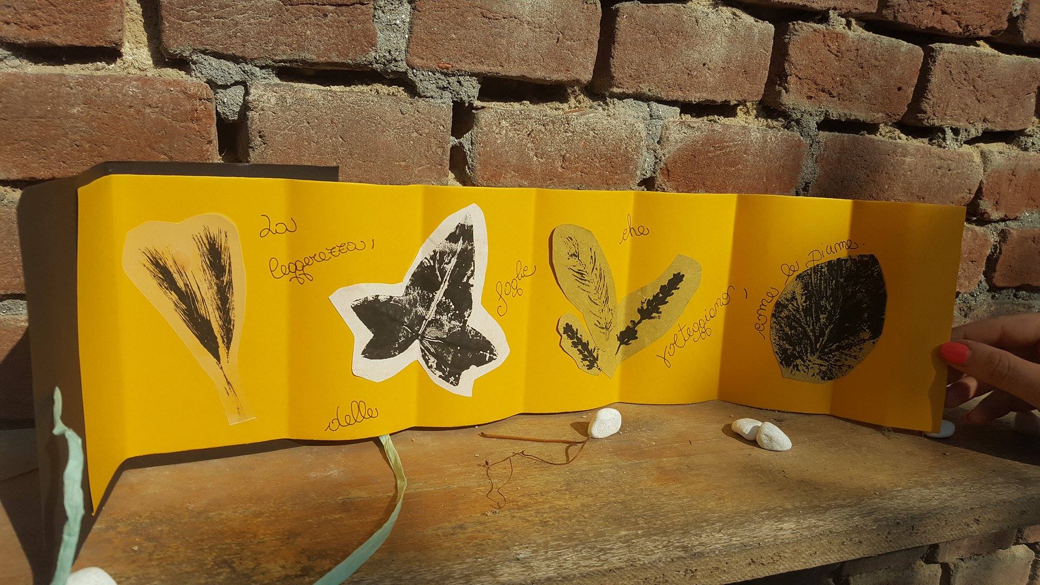 19403503_1487817617937327_967660262_o