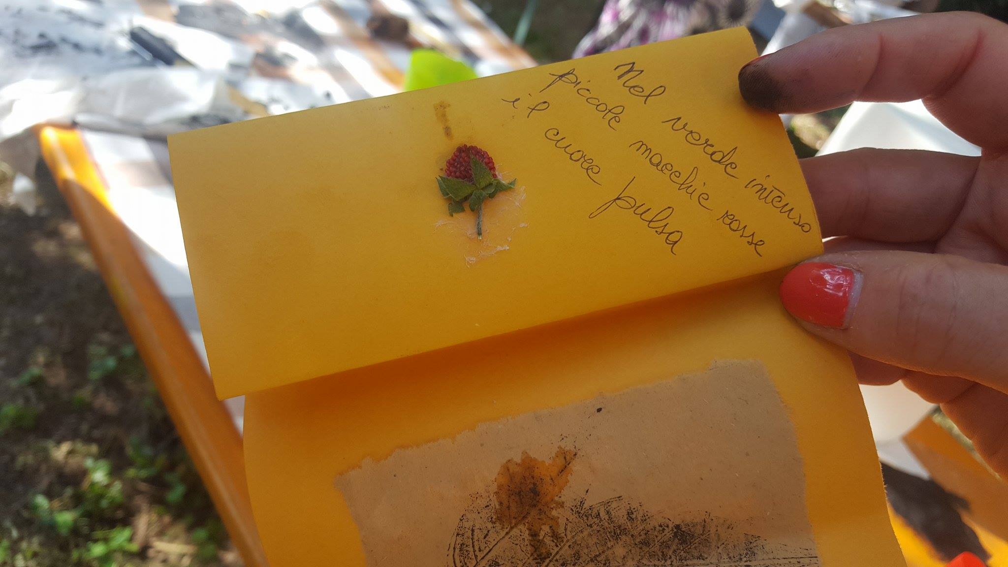 19403544_1487818777937211_379557178_o