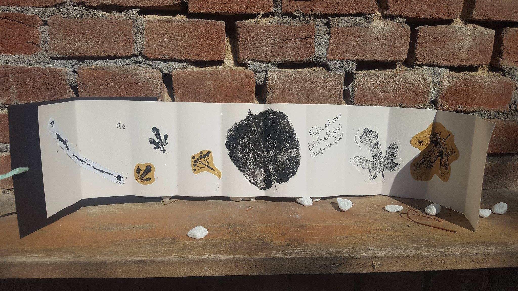 19403691_1487818754603880_1576988284_o