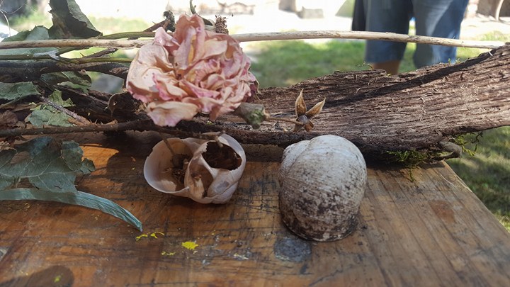 19415723_1487820144603741_392172225_n (1)