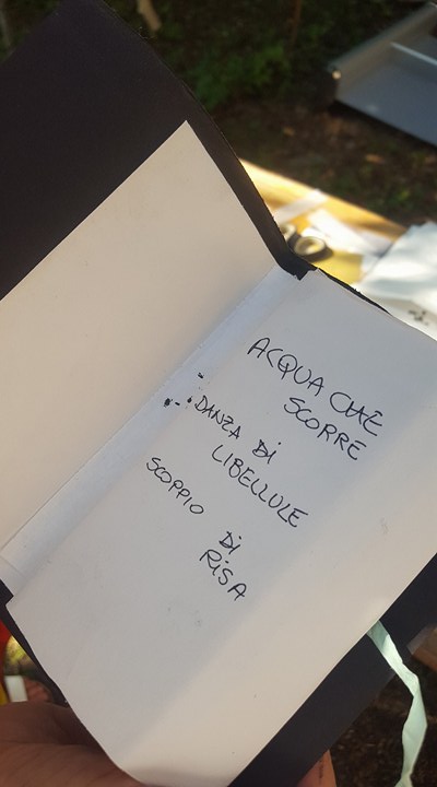 19415775_1487818771270545_1364083384_n