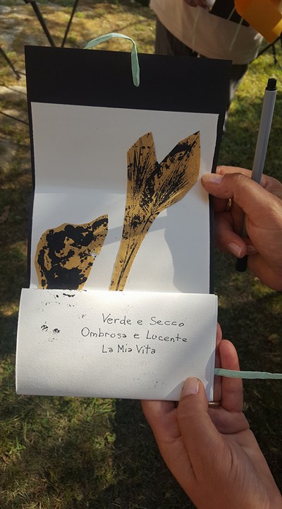 19416022_1487811154604640_943267751_n