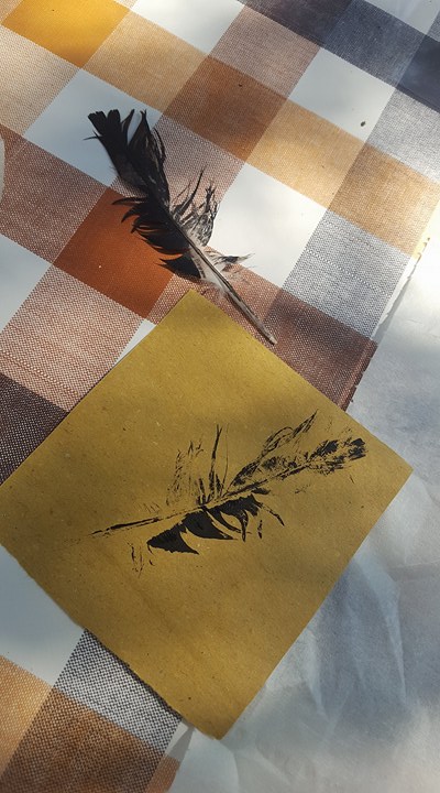 19433459_1487820141270408_1334888420_n (1)