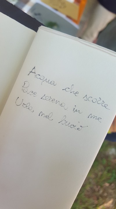 19441460_1487818884603867_1688855426_n