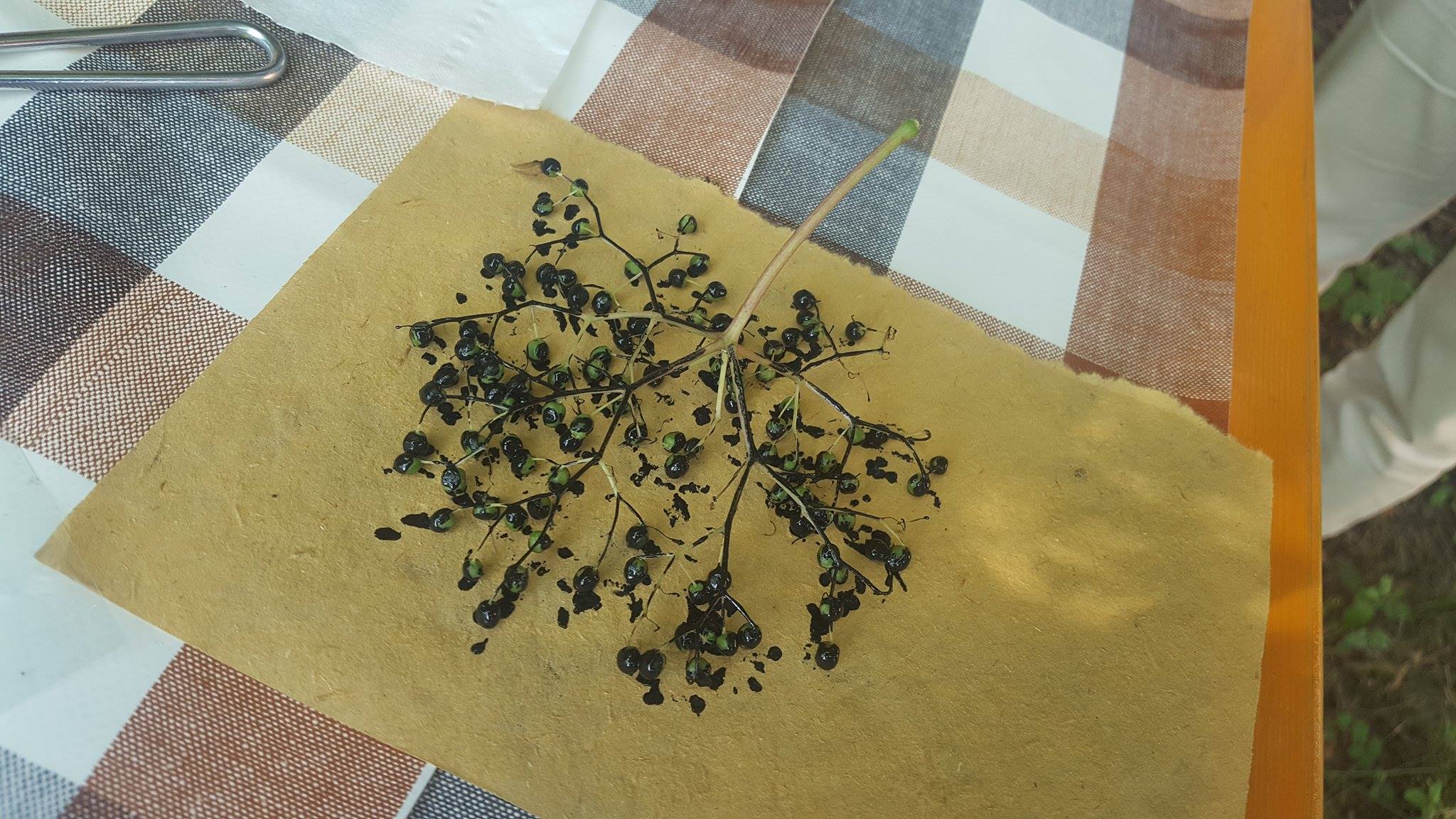 19451924_1487818914603864_1167922331_o