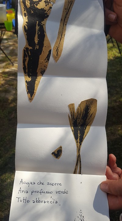 19458297_1487810924604663_234698743_n