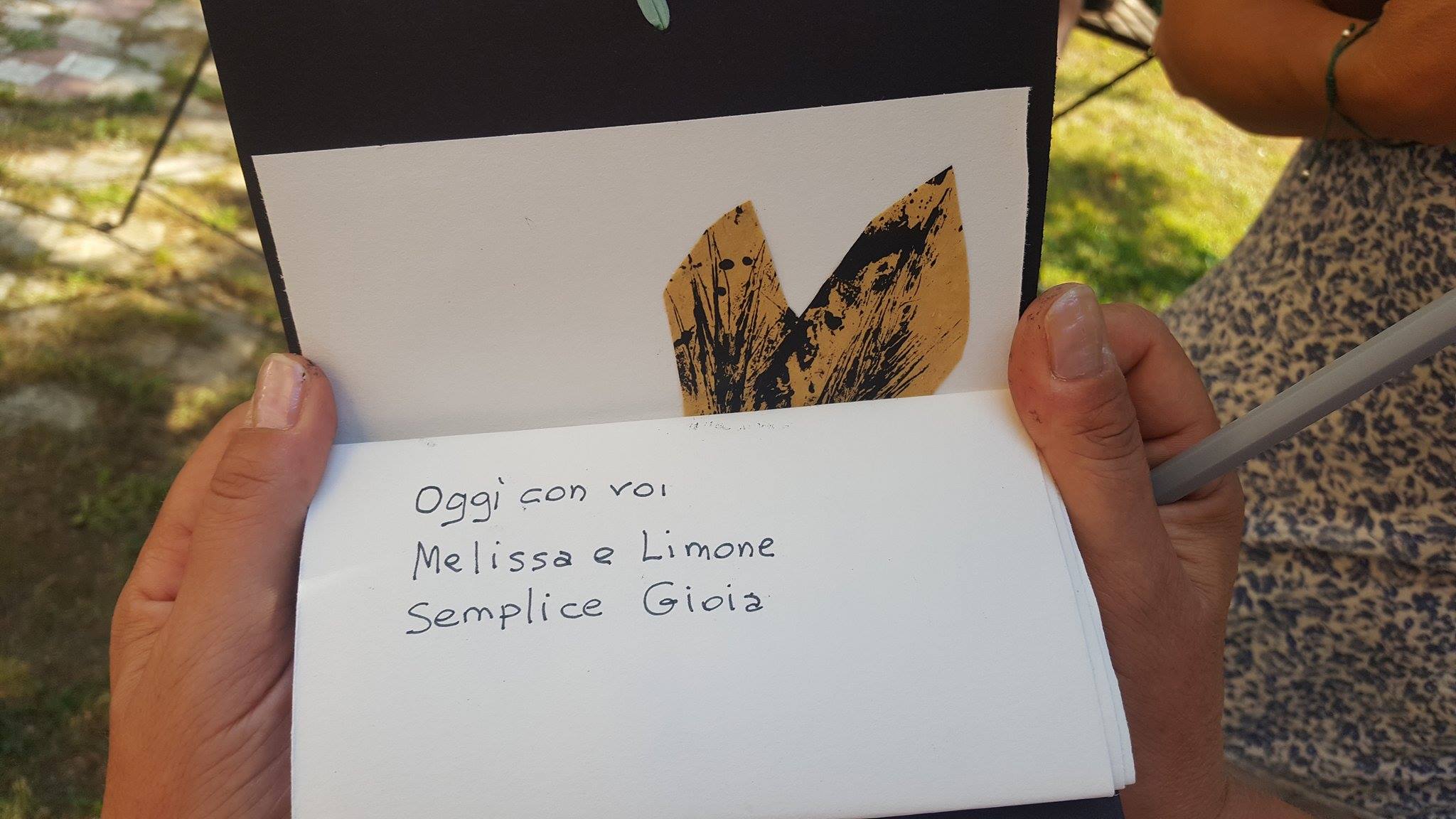 19478531_1487811311271291_1452926741_o