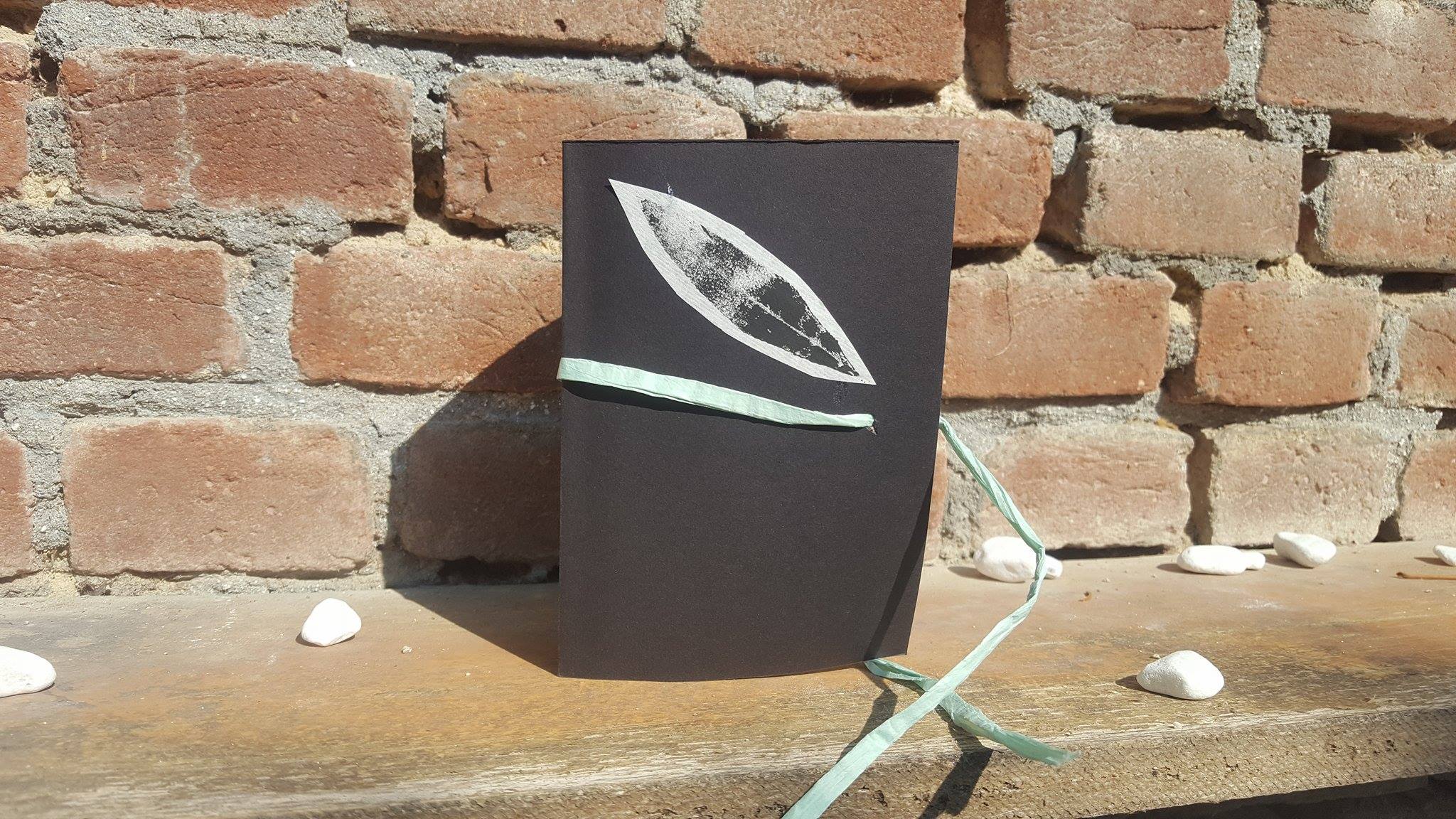 19478534_1487818741270548_224374875_o