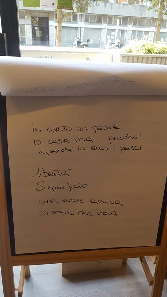 22809854_1612388528813568_831902108_n