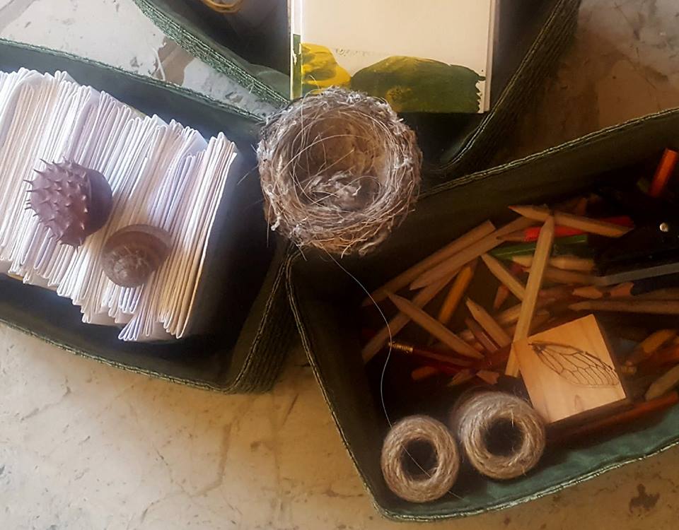 23130589_1622520504467037_2299449367965988738_n