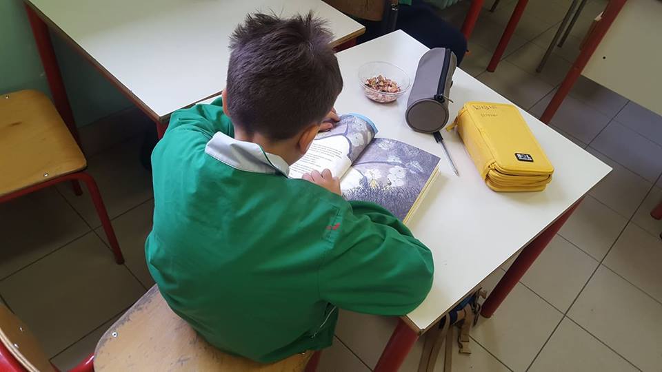 23782052_1638300519555702_962335371_n