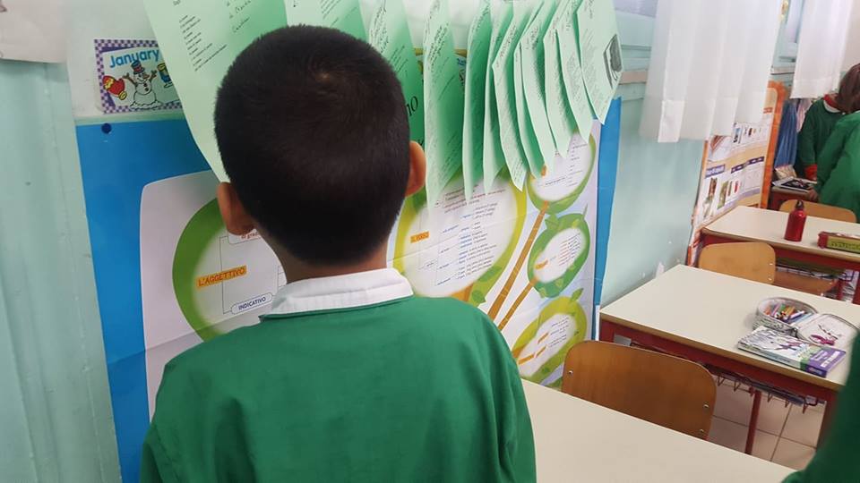 23804711_1638299572889130_1081572276_n