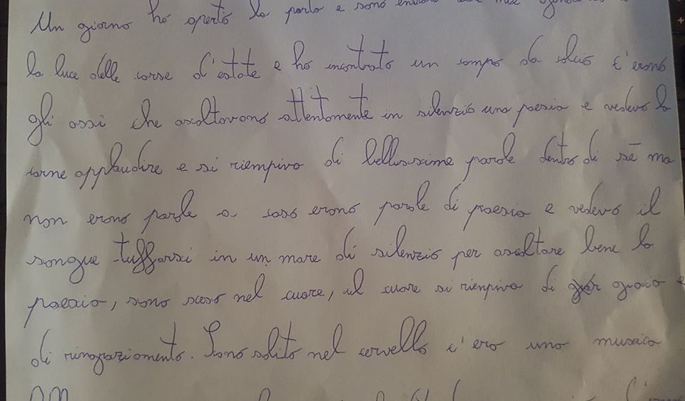 24172477_1647018328683921_1217960003_n