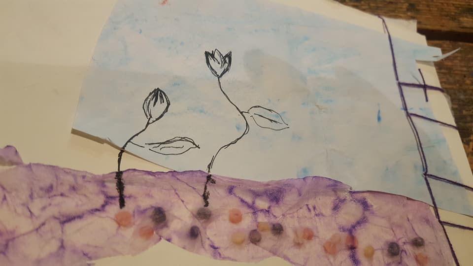 22310581_1701233603262393_8519089941561885270_n