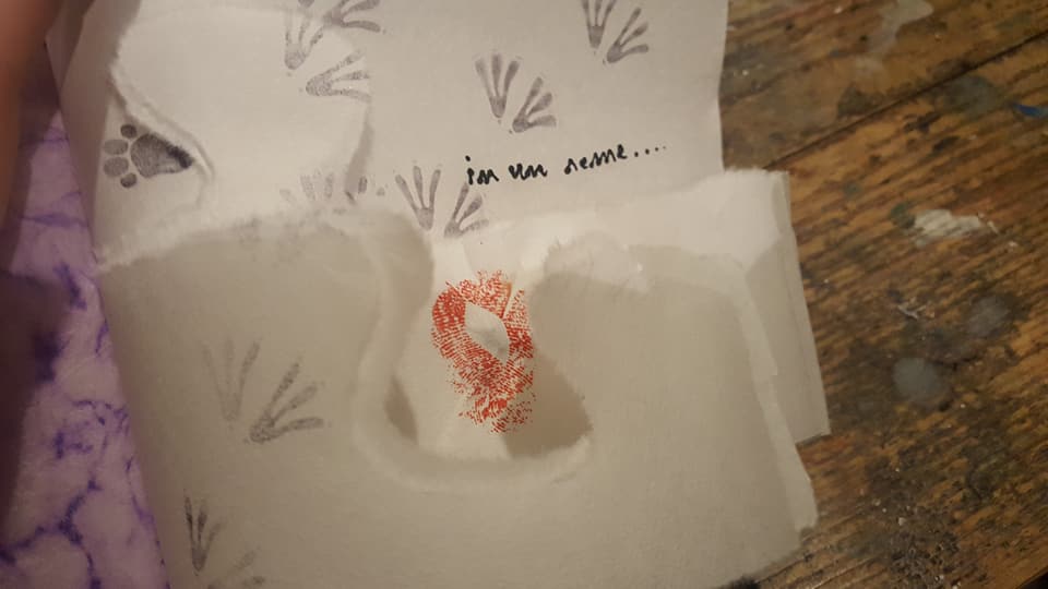 26804466_1701234369928983_8636205765481600439_n