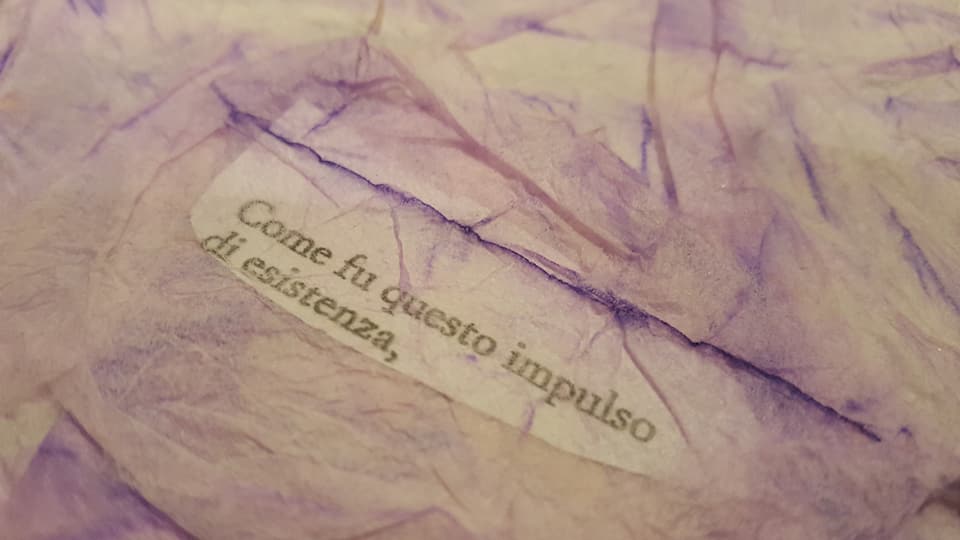 26804970_1701233393262414_7818021191350892530_n