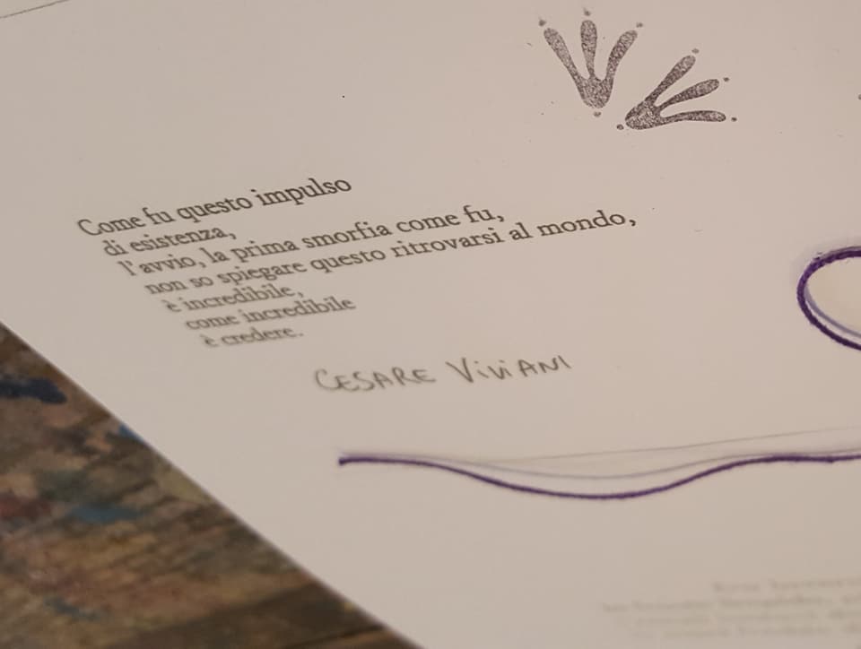 26805124_1701233046595782_1454346716497808486_n