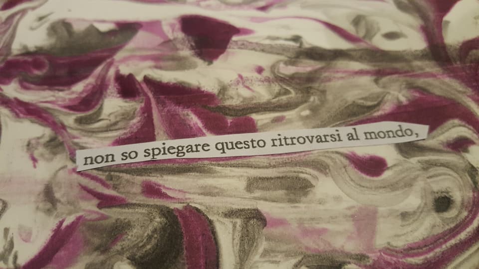 26907229_1701233443262409_5385394306328118734_n