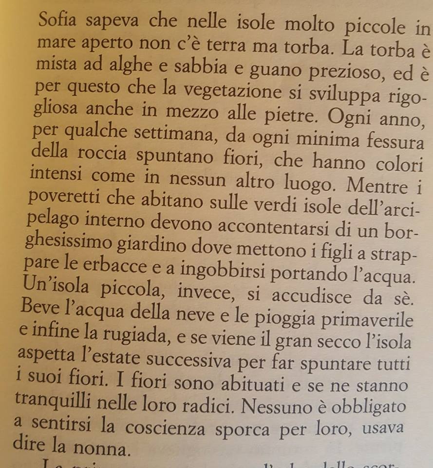 26994411_1698789506840136_1970161748_n