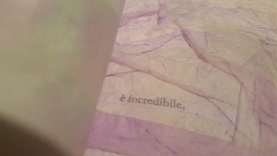 27067286_1701233506595736_225060034036394442_n