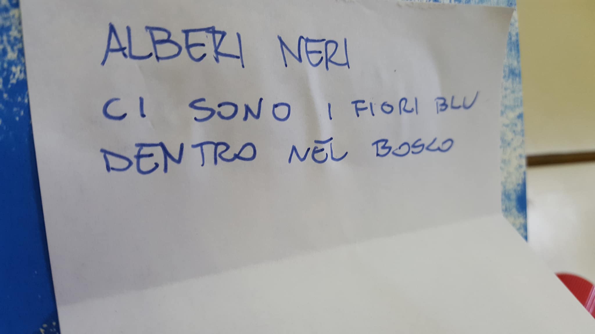 27787288_1719994228052997_548562141_o