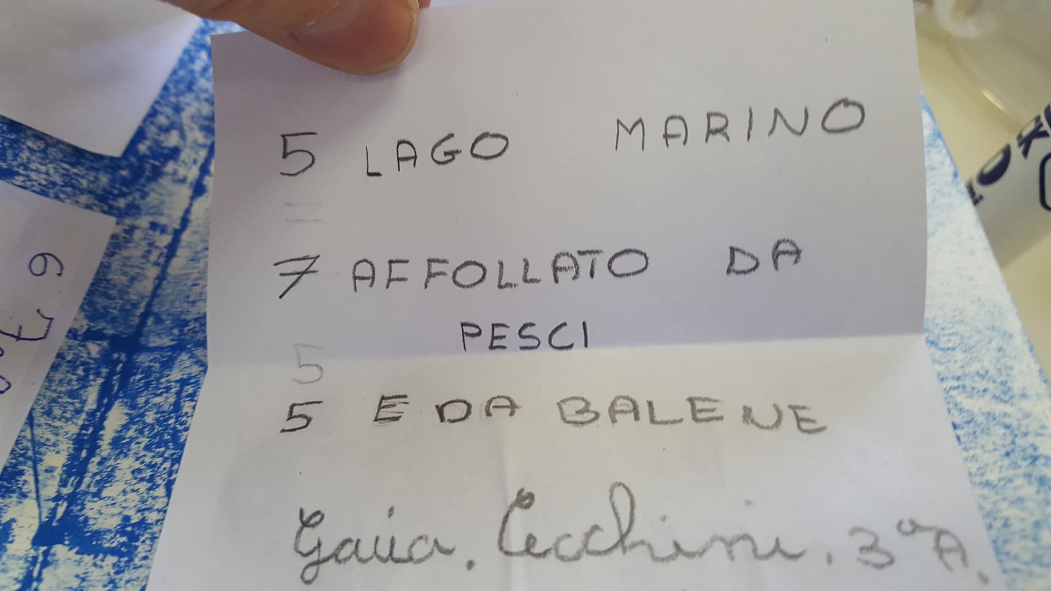 27835505_1719993984719688_1025578550_o